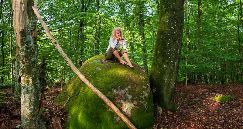 4-Sterne Wellnesshotel Thula in Lalling Bayern Bayerischer Wald